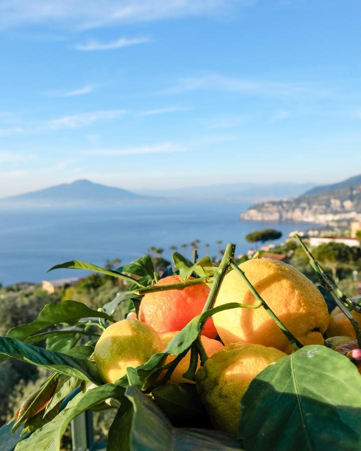 לינה וארוחת בוקר Sorrento Hills מראה חיצוני תמונה